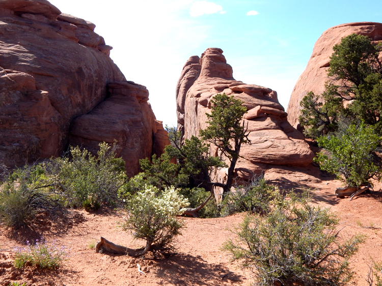 Arches National Park