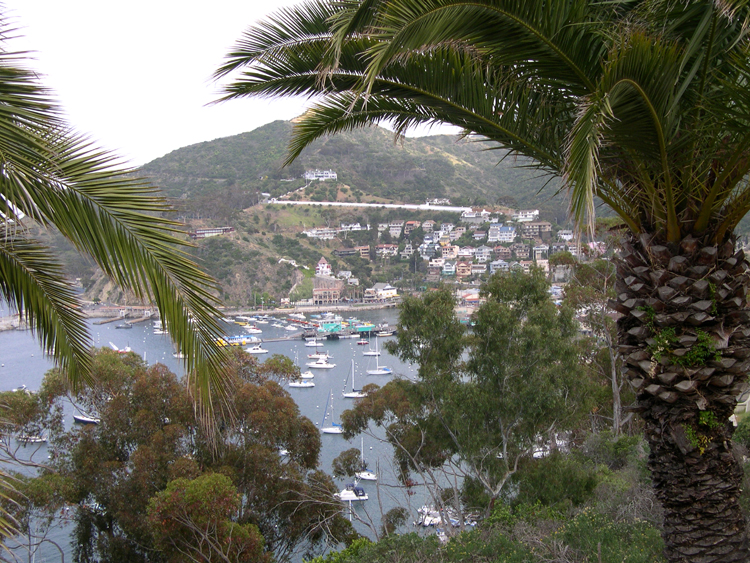 Avalon Harbor, Catalina Island