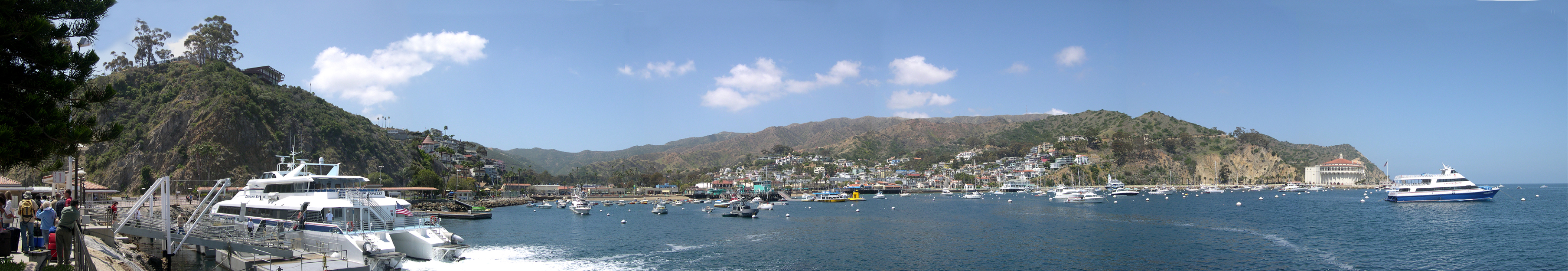 Avalon Harbor panorama