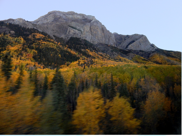 view from Winnipeg-to-Jasper train