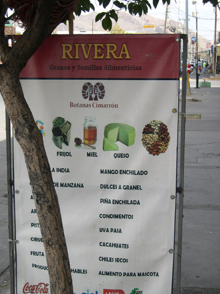 Chihuahua - queso verde