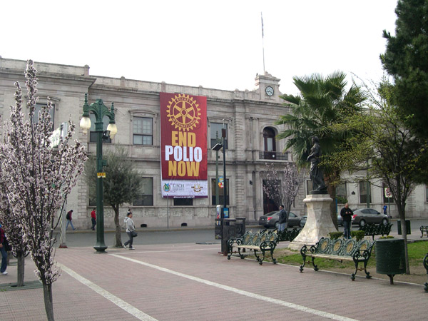 Chihuahua - Kiwanis End Polio sign