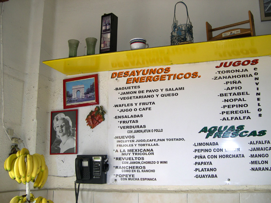 Chihuahua - Desayunador, view #2