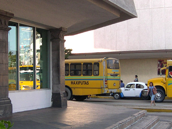Acapulco Camiones - Maxiputas