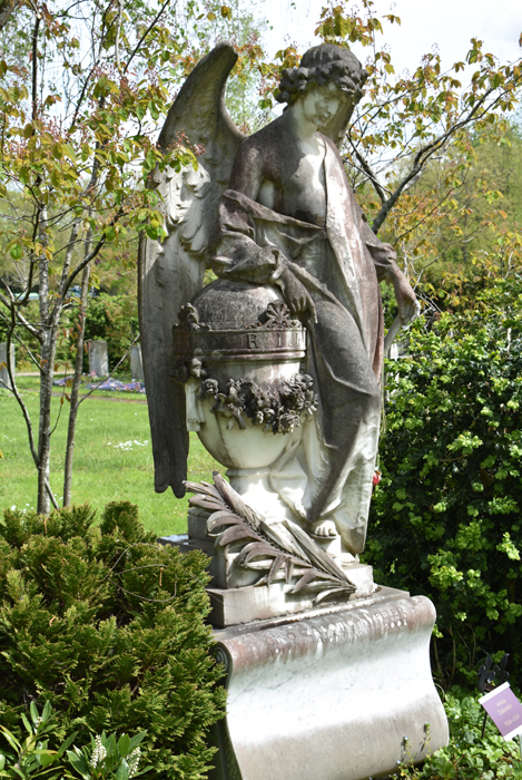 Basel - Nyfeler androgynous Angel