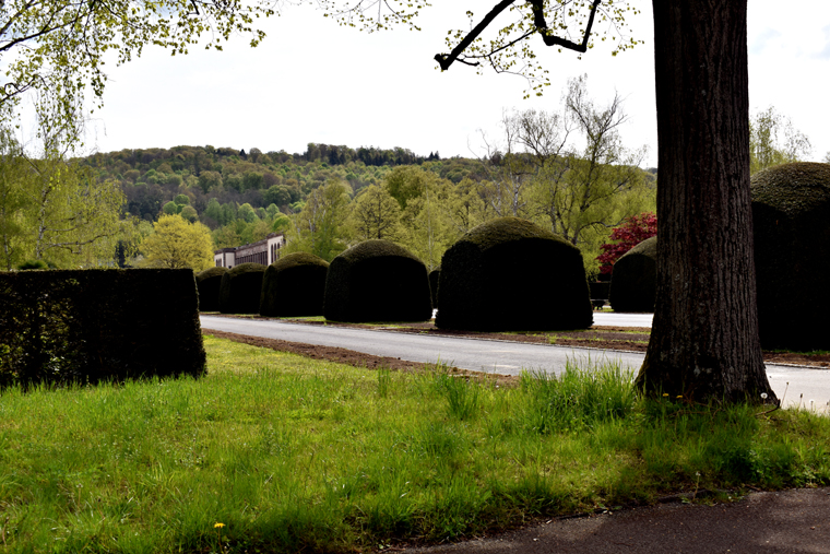 Basel Hornli - landscaping