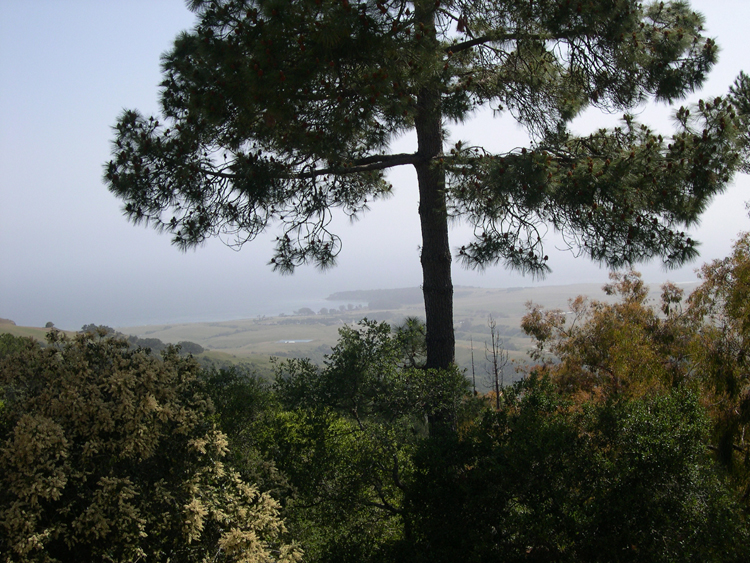 Hearst Castle - view of San Simeon coastline