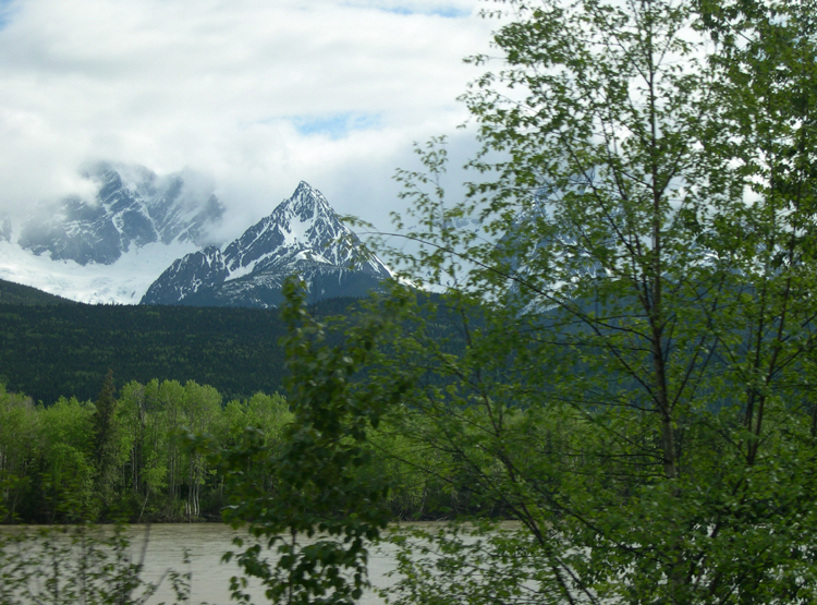 The Skeena (train) - scenery
