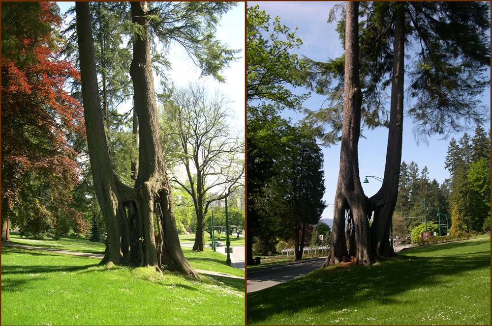 Vancouver - Stanley Park