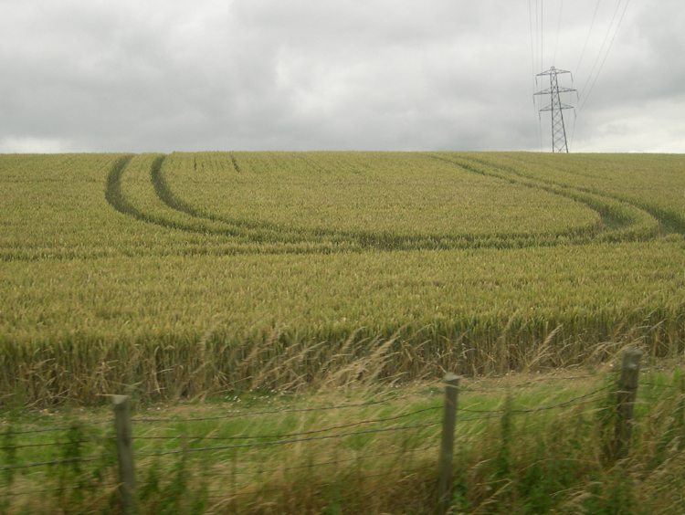 crop sculpture, Great Britain