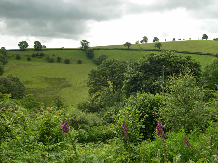 Tanat Valley, Wales 