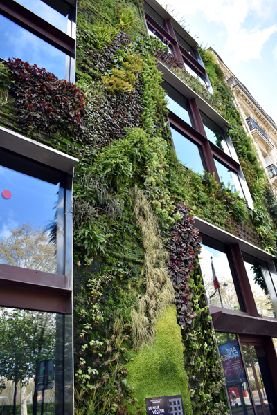 Mur Vegetal, Musee Quai Branly, Paris