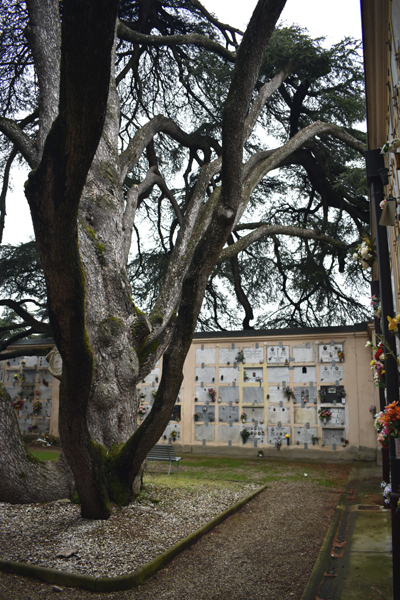 Cimitero del Piratello, Imola