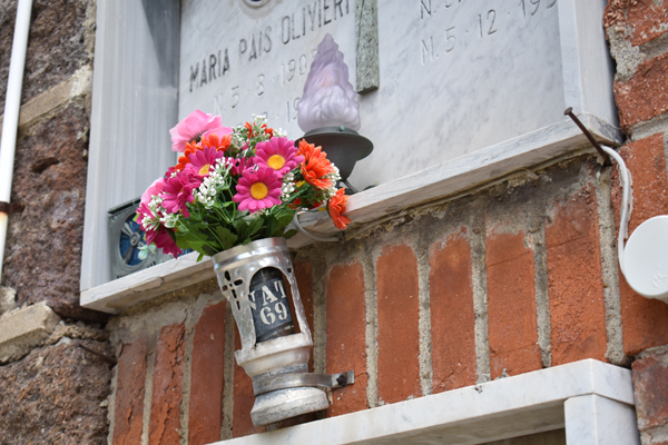 flowers in Vat 69 bottle, Cimitero di Sassari
