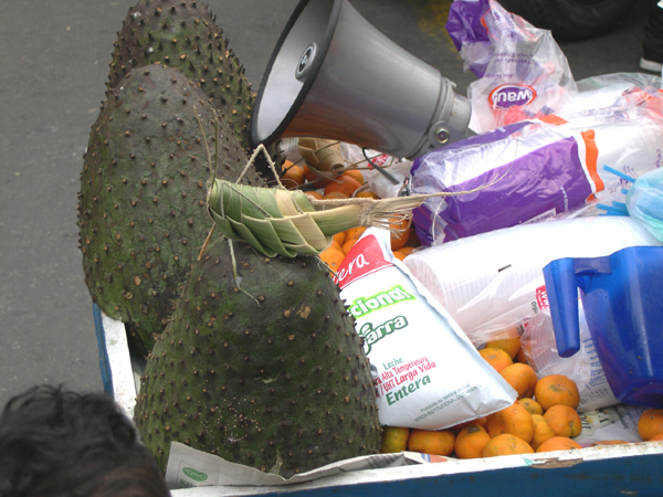 Bogota - insect made from leaves on guanabana fruit stand
