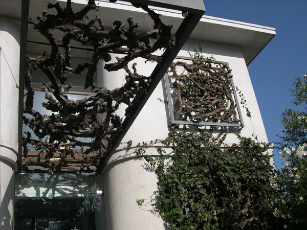 Wine-Related Exhibit Building, Calle Sexta y Avenida Moctezuma, Ensenada (View 2)
