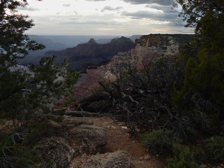 Grand Canyon, Arizona - Cape Royal