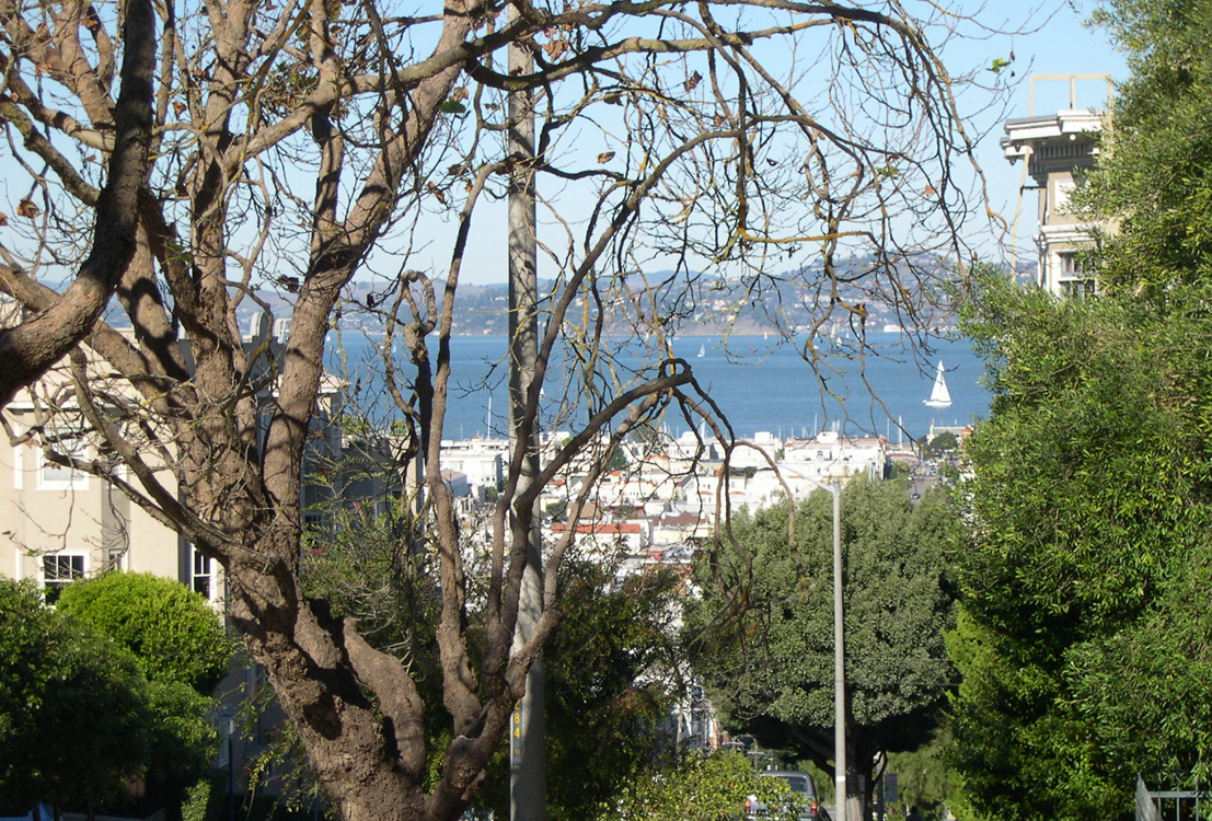 San Francisco Bay, seen from Scott and Green above Marina District