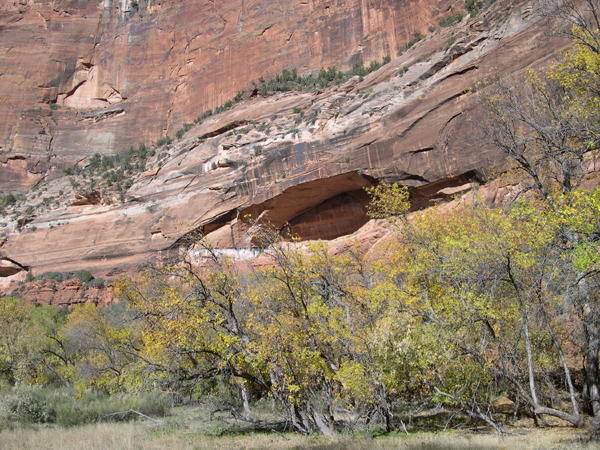 Zion National Park