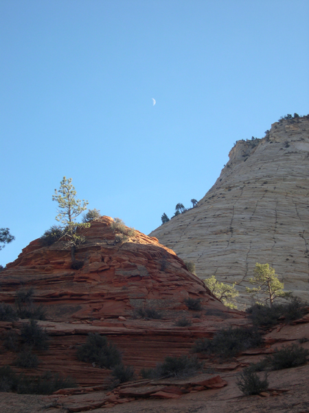 Zion National Park